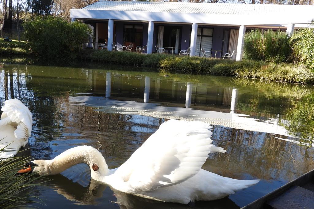 Willow Place Guest House Мидранд Екстериор снимка